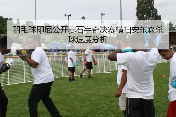 羽毛球印尼公开赛石宇奇决赛横扫安东森杀球速度分析